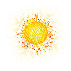 太阳矢量图图片