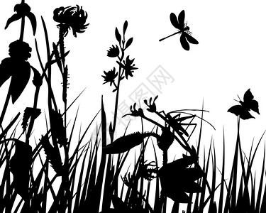 矢量草剪影背景与昆虫图片