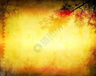 秋天的落叶grunge背景图片