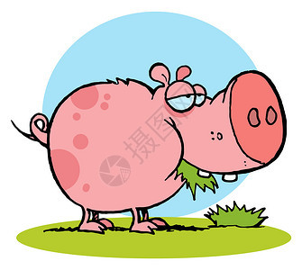 Chubby粉红猪排在图片