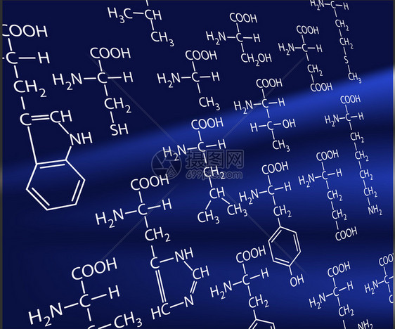 20种氨基酸生命的基础图片