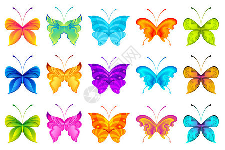 孤立背景上一组五颜六色的蝴蝶的插图图片