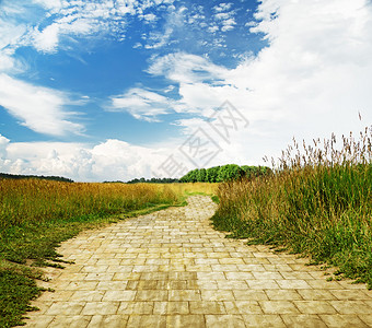 黄砖路穿过绿色草地梦幻背景图片