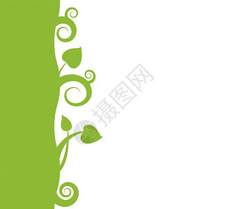 白色背景的绿色装饰品背景图片