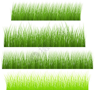 绿色新鲜草的创意概念装饰设计说明InforthGreenFresh图片