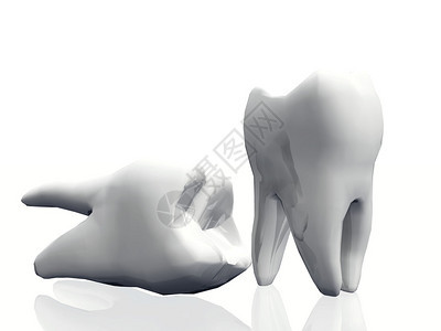 白色背景上的臼齿背景图片