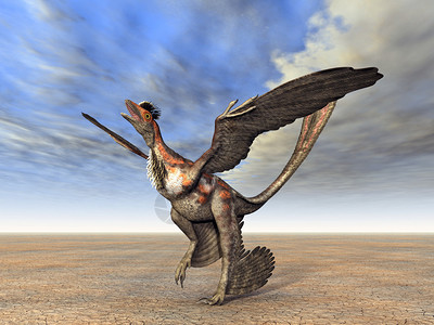 小盗龙是小型四翼驰龙科恐龙的一个属图片