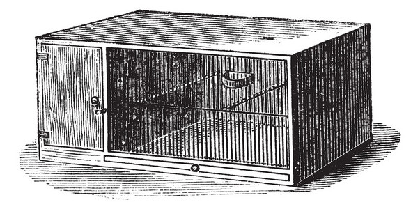 老鼠笼复古雕刻老鼠笼的旧雕刻插图图片