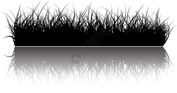 矢量草背景与水中的倒影背景图片