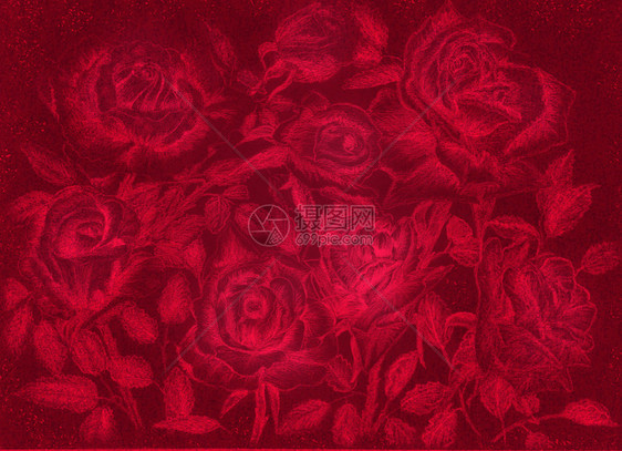 红玫瑰铅笔画深色花卉复古背景图片