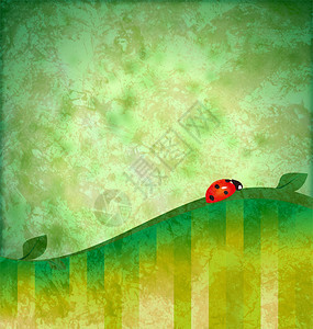 绿色背景grunge插图与红色瓢虫图片