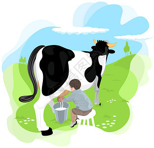 一个男孩在农场的里挤奶牛背景图片