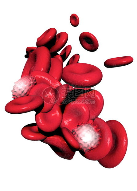 3d人体血细胞的转图片