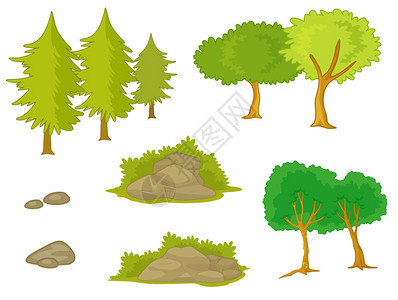 各种树木和植物的插图图片