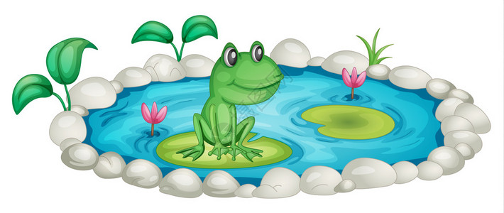 青蛙在池塘插图图片