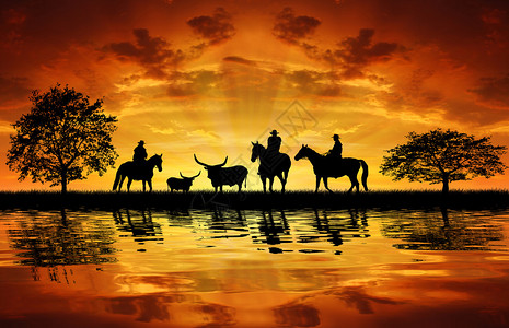 日落时骑着奶牛的马图片
