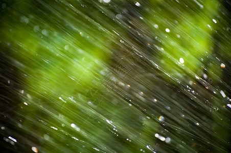 雨林的抽象形图片