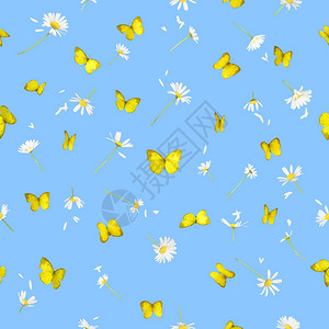 来自14个不同角度的22个不同小菊花和黄蝴蝶的可重复背景图片