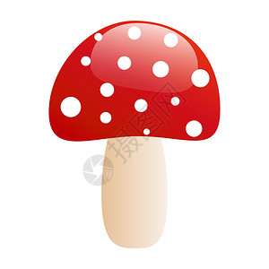 木耳蘑菇图片