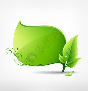 绿叶概念生态设计矢量图图片