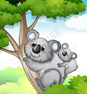 说明坐在树上的熊在图片