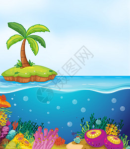 岛屿上水中珊瑚和棕榈树图片
