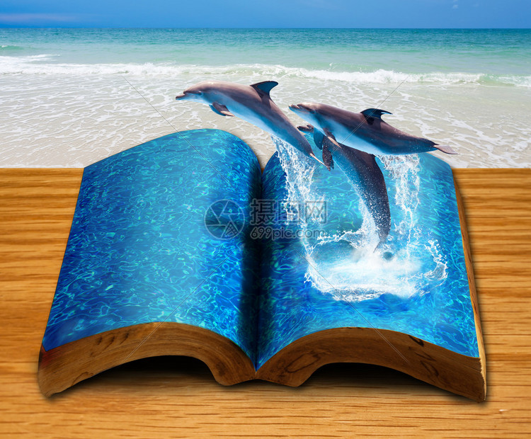 有三只海豚的魔法书从图片