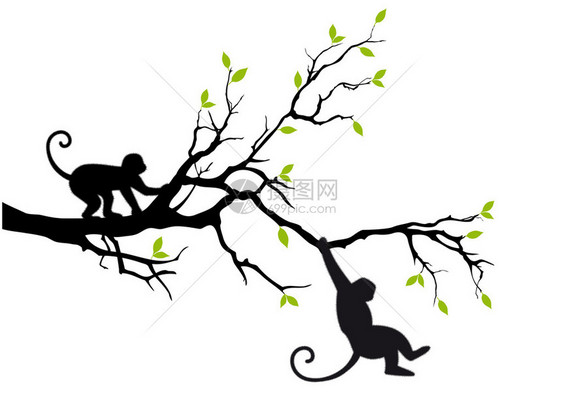 猴子挂在树枝上矢量背景图片