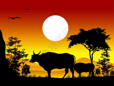 水牛和有风景背的奶图片