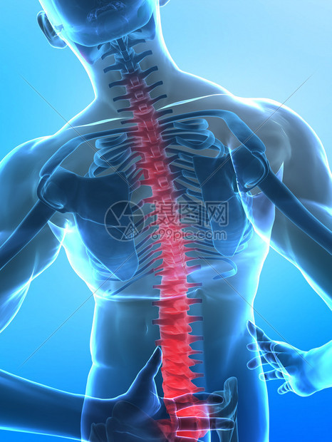 脊柱部分疼痛的人带有选定引导部分的图片