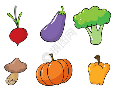 白色背景各种蔬菜的插图以白图片