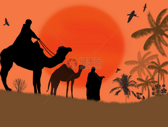 非洲野地貌的贝都因人骆驼大篷图片