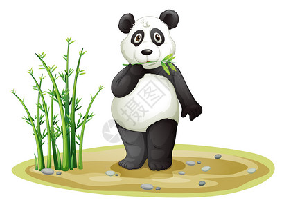 白色背景上的熊猫插图图片