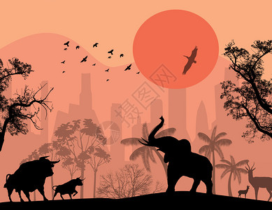 日落时市公园里的野生动物矢量图图片