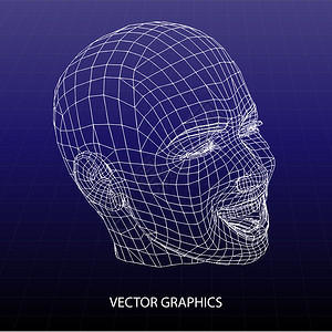 人脸矢量模型图片