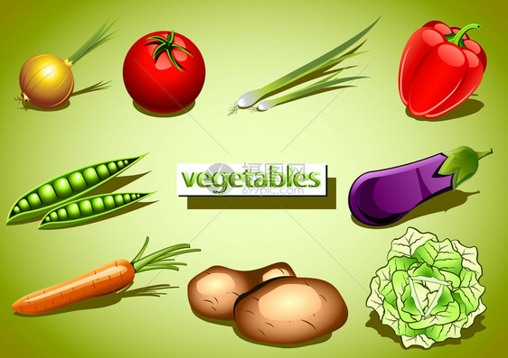 矢量蔬菜的集合图片