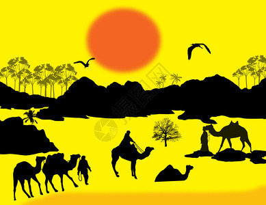 以黄日落背景在撒哈拉的骆驼大图片