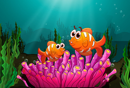 在水下发现的粉红色珊瑚上方的两条鱼的插图图片素材