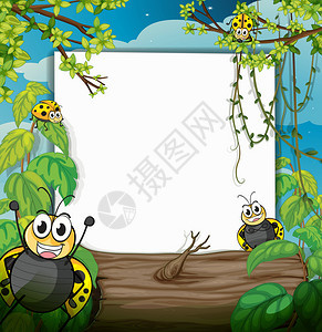 树林里的虫子插图图片