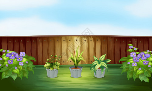 篱笆内的花盆里的三株植物的插图图片