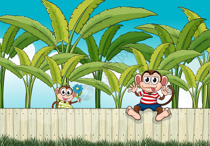 两只猴子在栅栏上玩耍的插图图片