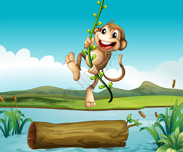 一只猴子摆动的插图背景图片