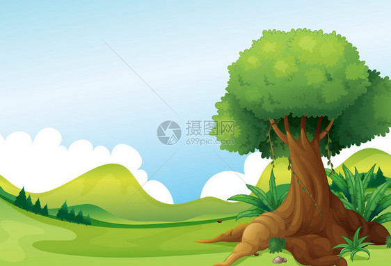 一棵大树的插图山附近有藤本植物图片