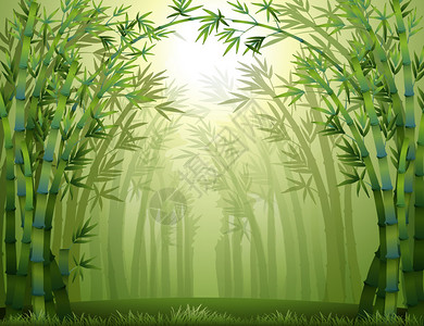 绿竹林的插图图片