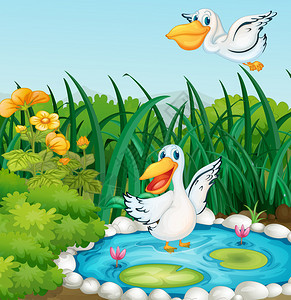 有鸭子的池塘的插图图片