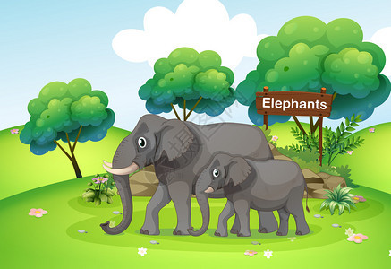 小象和大象的插图图片