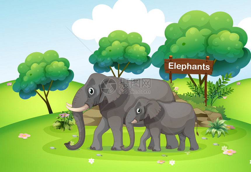 小象和大象的插图图片