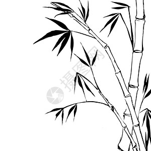 竹子被白色隔开矢量插图图片
