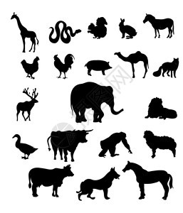 一组动物剪影背景图片