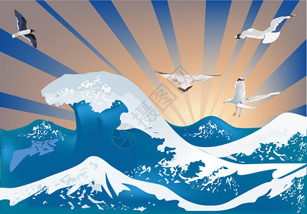 海浪上的海鸥插图图片